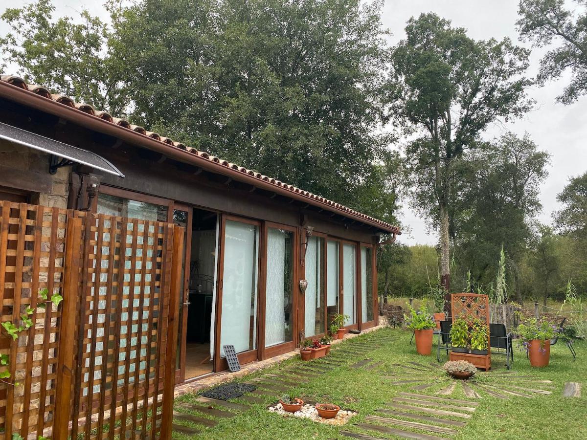 The Old Watermill Retreat - O Retiro Da Azenha Velha Vila Nova de Poiares Exterior foto